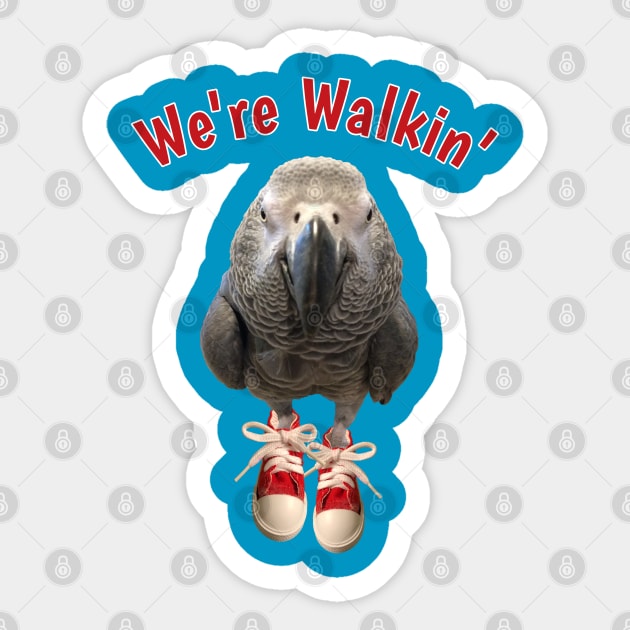 African Grey Parrot Walking Exercise Tennis Shoe Sticker by Einstein Parrot